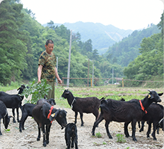 ��ʱ|AG(AsiaGaming)������Ӫ��